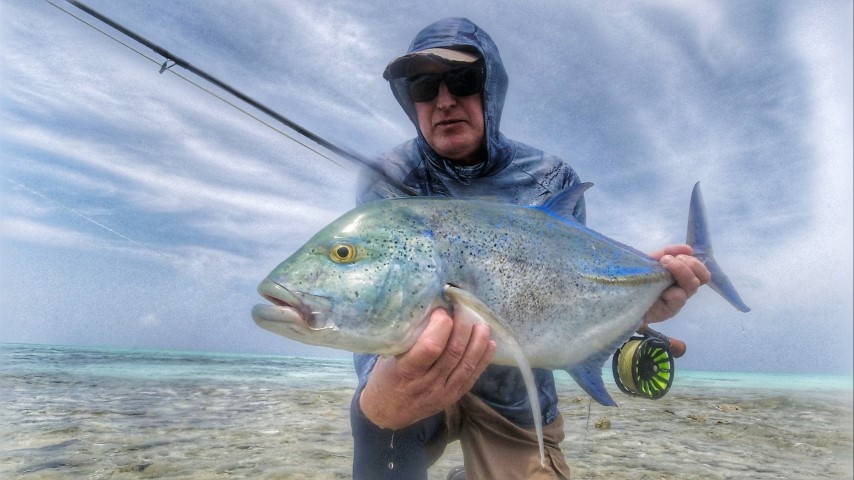 Bluefin trevally.